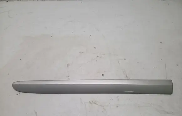 Rear door trim (molding)