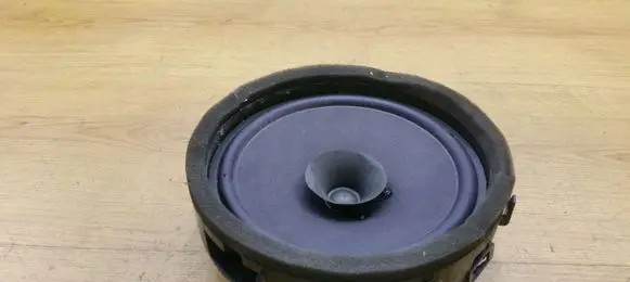 Peugeot 4007 Front door speaker 8720A017