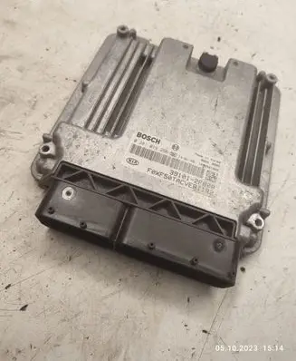 KIA Sorento Engine control unit/module 391012F800