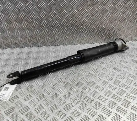 BYD Atto 3 Rear shock absorber/damper SC2EE2915