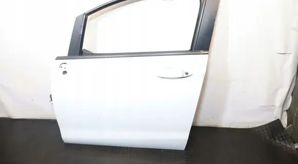 Ford B-MAX Front door
