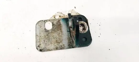 Rear door lower hinge