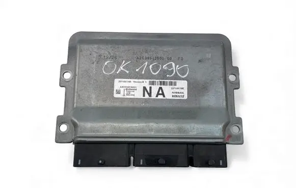 Engine control unit/module ECU