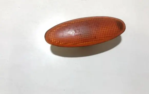 Front fender indicator light