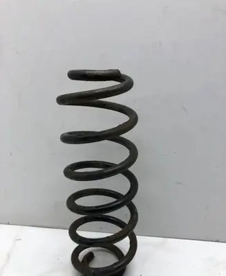 Volkswagen PASSAT B6 Rear coil spring