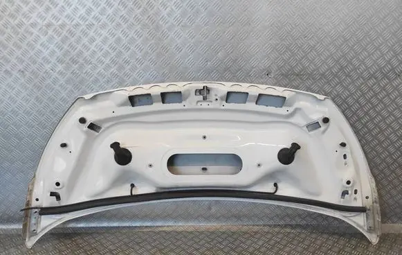 Engine bonnet/hood
