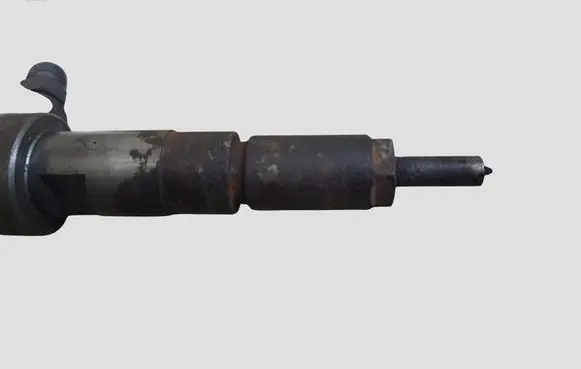 Citroen C3 Fuel injector 0445110252 565889