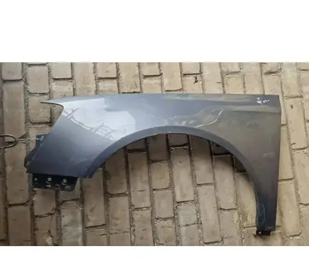 Volkswagen PASSAT B6 Fender 