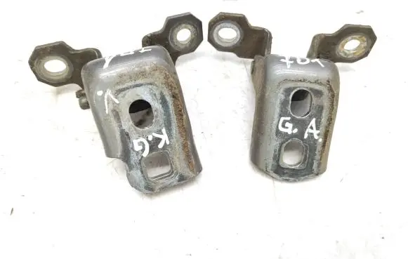 Renault Laguna III Rear door hinge set TEKND