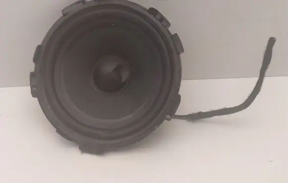 Panel speaker