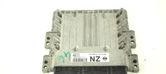 Engine control unit/module ECU