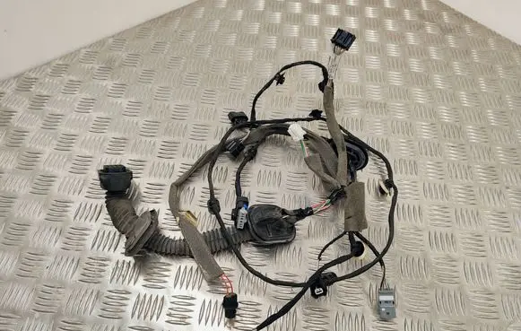 Renault Espace V (RFC) Front door wiring loom 241241104R
