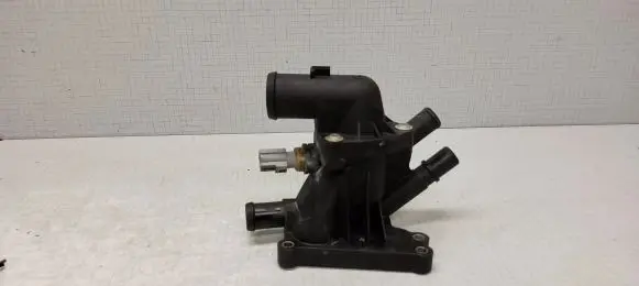 Thermostat/thermostat housing