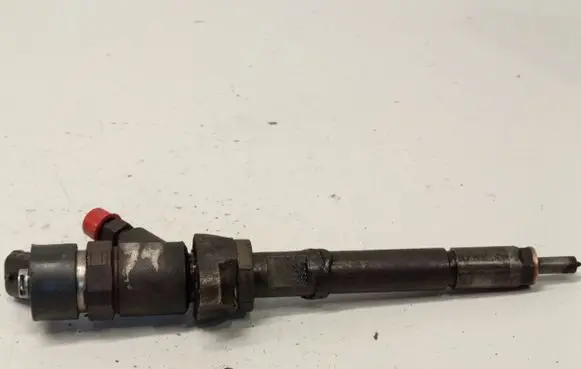 Ford Focus Fuel injector 0445110239
