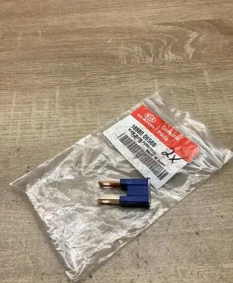 Hyundai Santa Fe Fuse 1898006566 100A