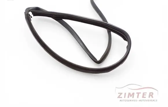 Renault Trafic II (X83) Front door rubber seal 
