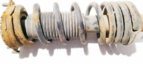 Rear coil spring