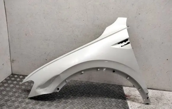 Volkswagen Tiguan Fender 5NA821106B