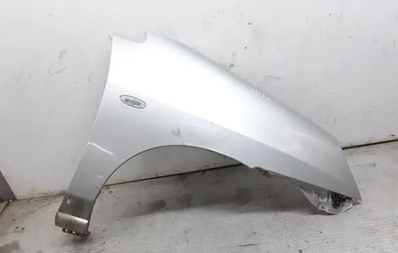 Suzuki Liana Fender