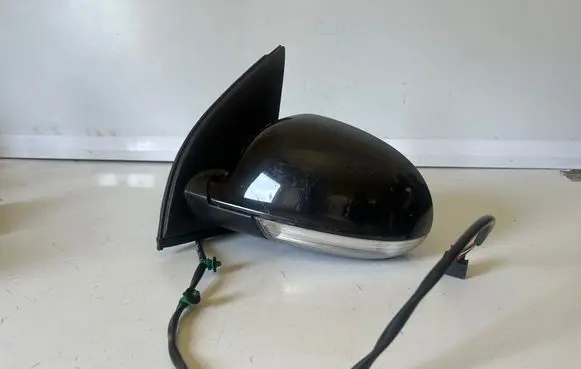 Volkswagen Golf V Front door electric wing mirror 425201