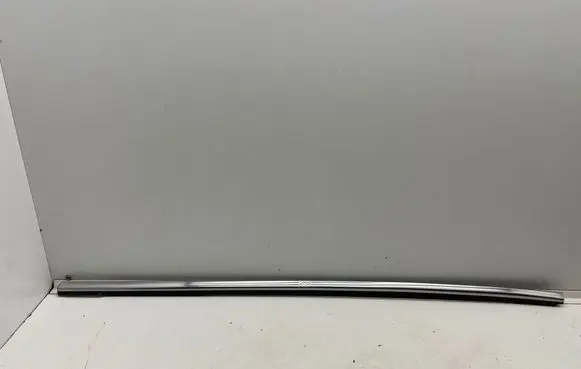 Nissan Qashqai Front door glass trim molding 800311000