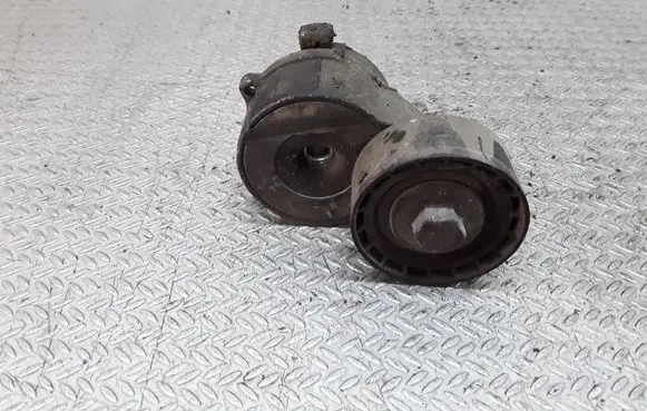 Citroen Berlingo Generator/alternator belt tensioner