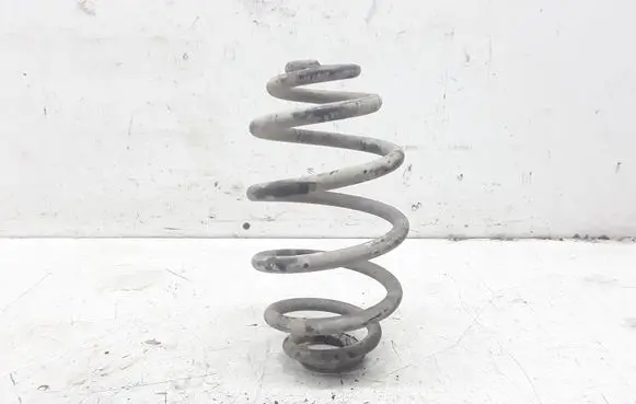 Volkswagen PASSAT B5 Rear coil spring