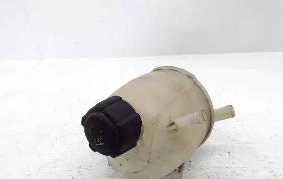 Renault Scenic I Coolant expansion tank/reservoir 8200060424 99079100
