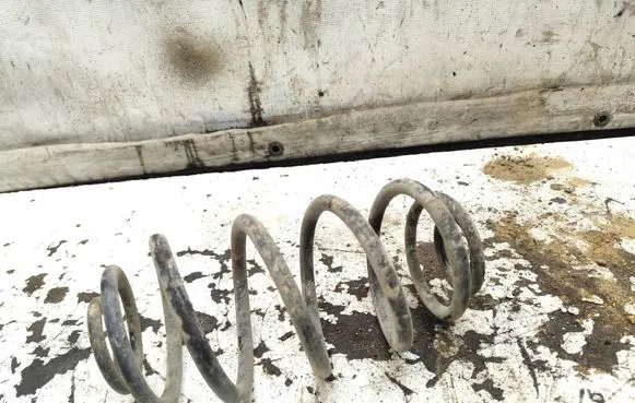 Rear coil spring
