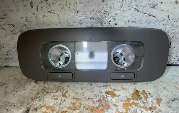 Volkswagen PASSAT B6 Front seat light 3C0947291C