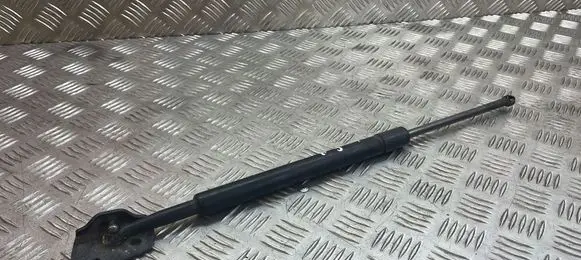 Nissan Pathfinder R51 Tailgate/trunk strut/damper