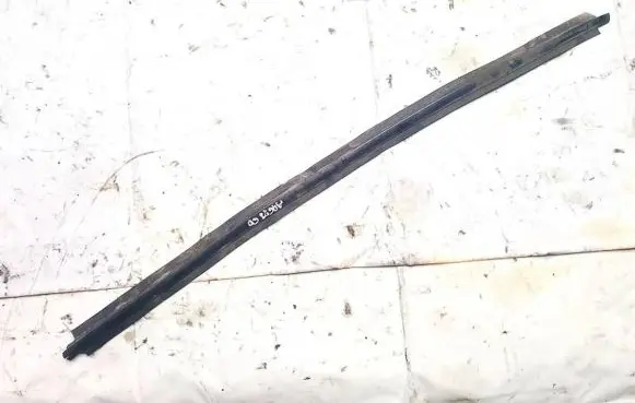 Citroen Xsara Picasso Rear door glass trim molding