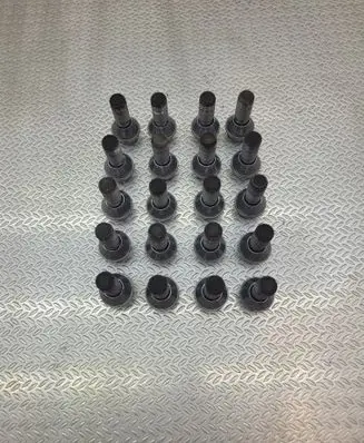 Polestar 2 Nuts/bolts 