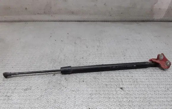 Renault Modus Tailgate/trunk strut/damper 8200219322