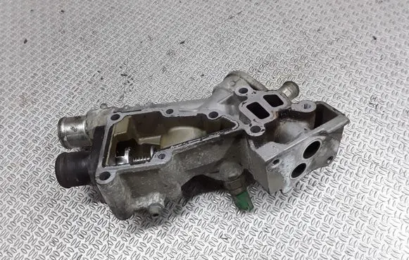 Thermostat/thermostat housing
