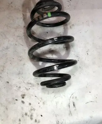 Volkswagen PASSAT B5.5 Rear coil spring