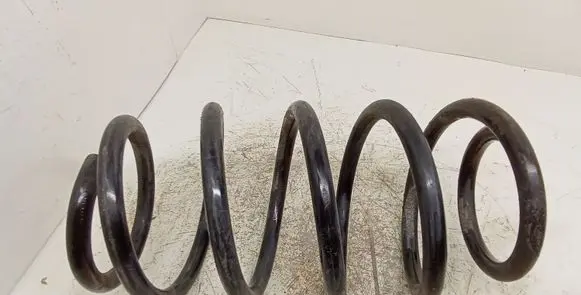 Front coil spring
