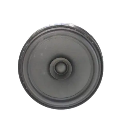 Skoda Fabia Mk3 (NJ) Rear door speaker