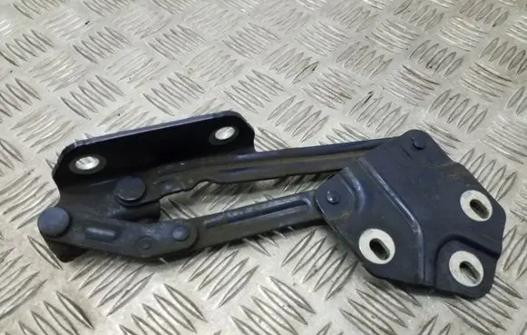 Volkswagen Touran I Tailgate/trunk/boot hinge 1T0823301