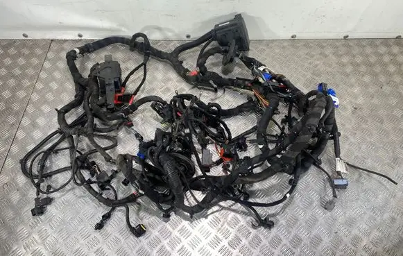 Alfa Romeo Stelvio Engine installation wiring loom 00505519200