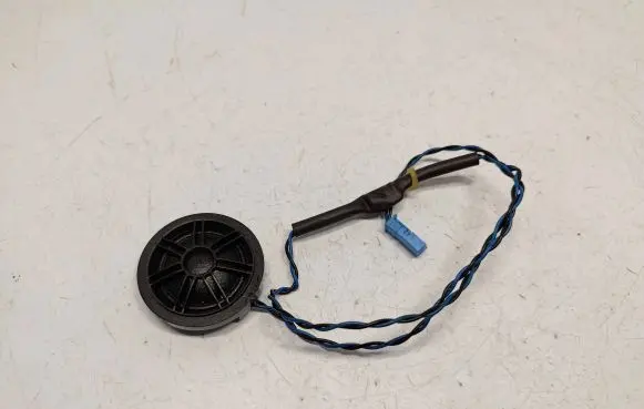 Front door high frequency speaker