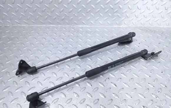 Nissan Leaf I (ZE0) Tailgate/trunk strut/damper 904503NK0A 904513NK0A 3795400500N