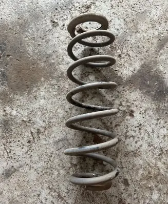 Rear coil spring