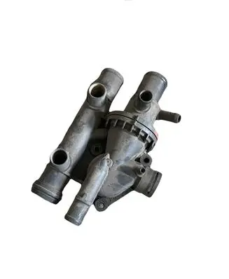 Thermostat/thermostat housing