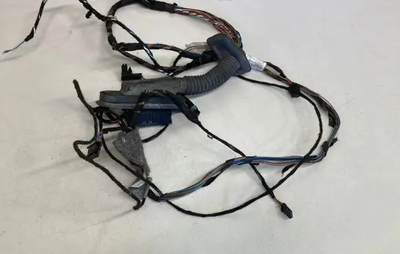 BMW X5 E70 Front door wiring loom 922984701 7134659 140107