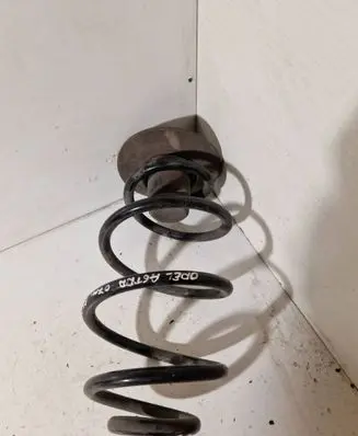 Rear coil spring