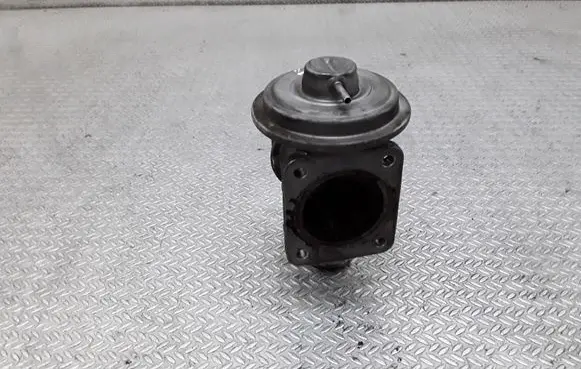 BMW 3 E46 EGR valve 2354070