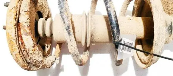 Front coil spring