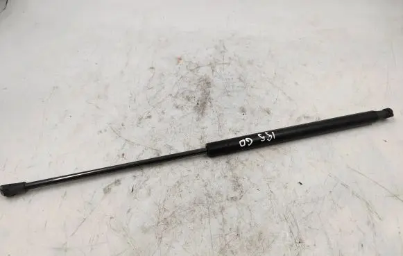 Tailgate/trunk strut/damper