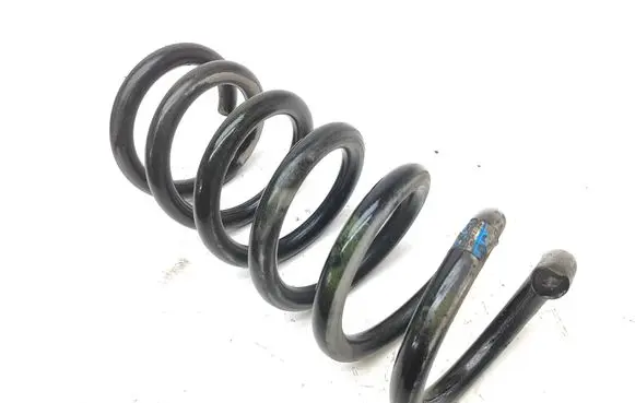 Ford Mustang VI Rear coil spring